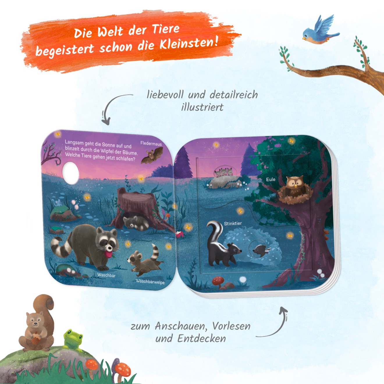 Klappenbuch - Tiere im Wald Wer lebt wo? – Bild 6