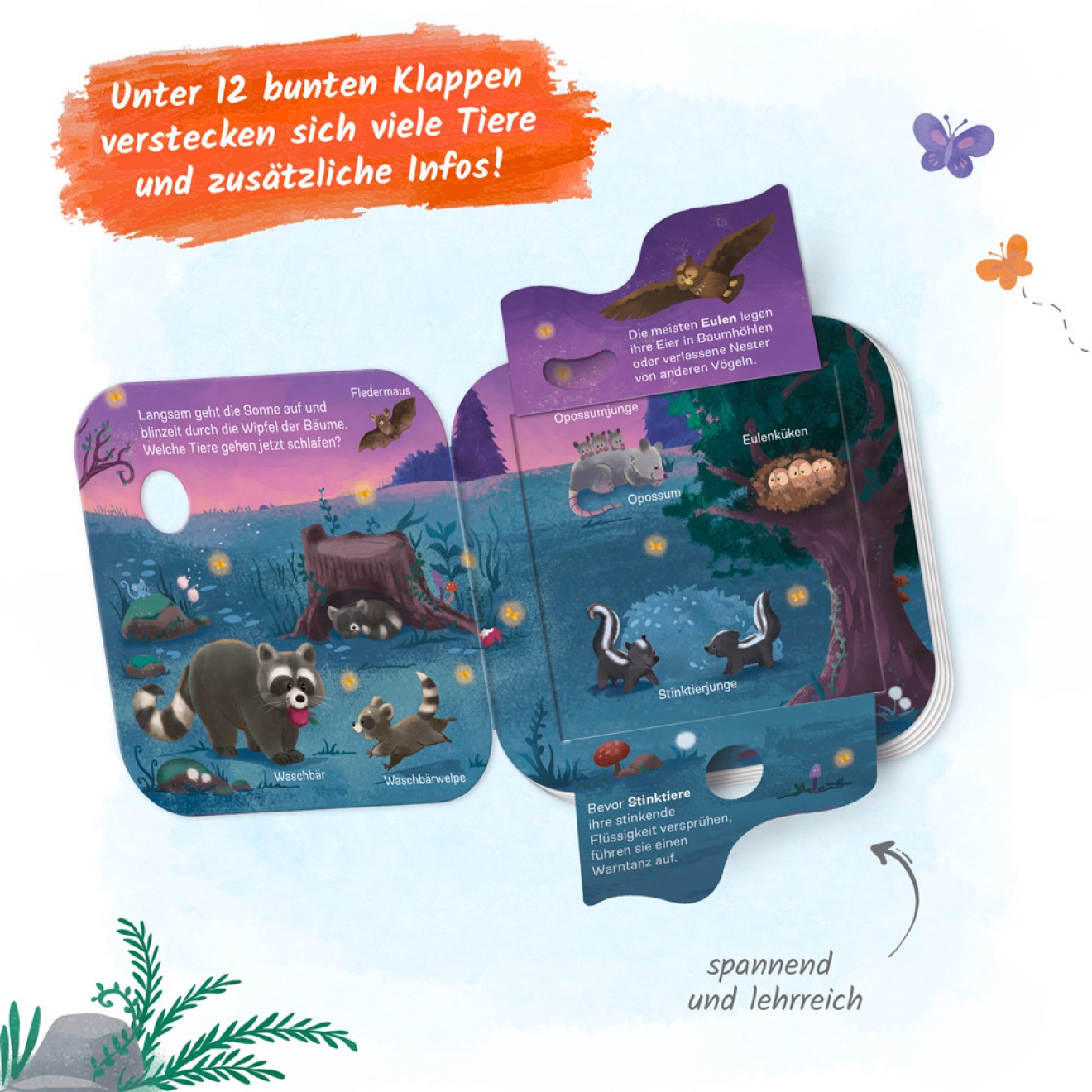 Klappenbuch - Tiere im Wald Wer lebt wo? – Bild 7