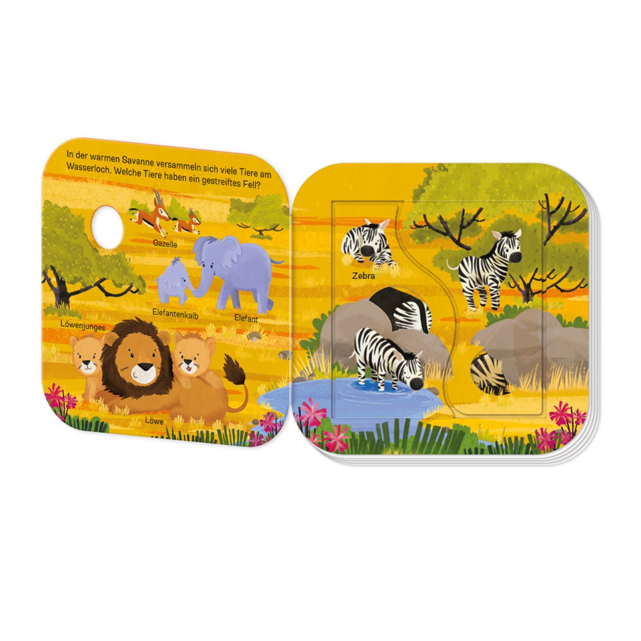 Klappenbuch - Welt der Tiere Wer lebt wo? – Bild 4