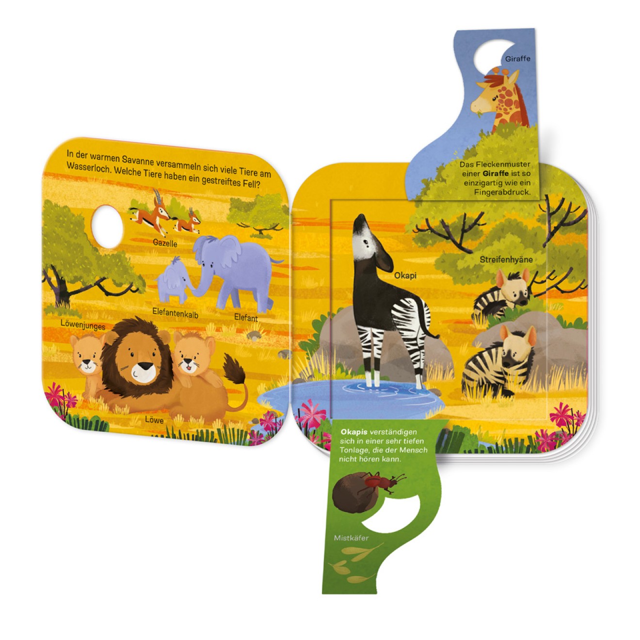 Klappenbuch - Welt der Tiere Wer lebt wo? – Bild 5
