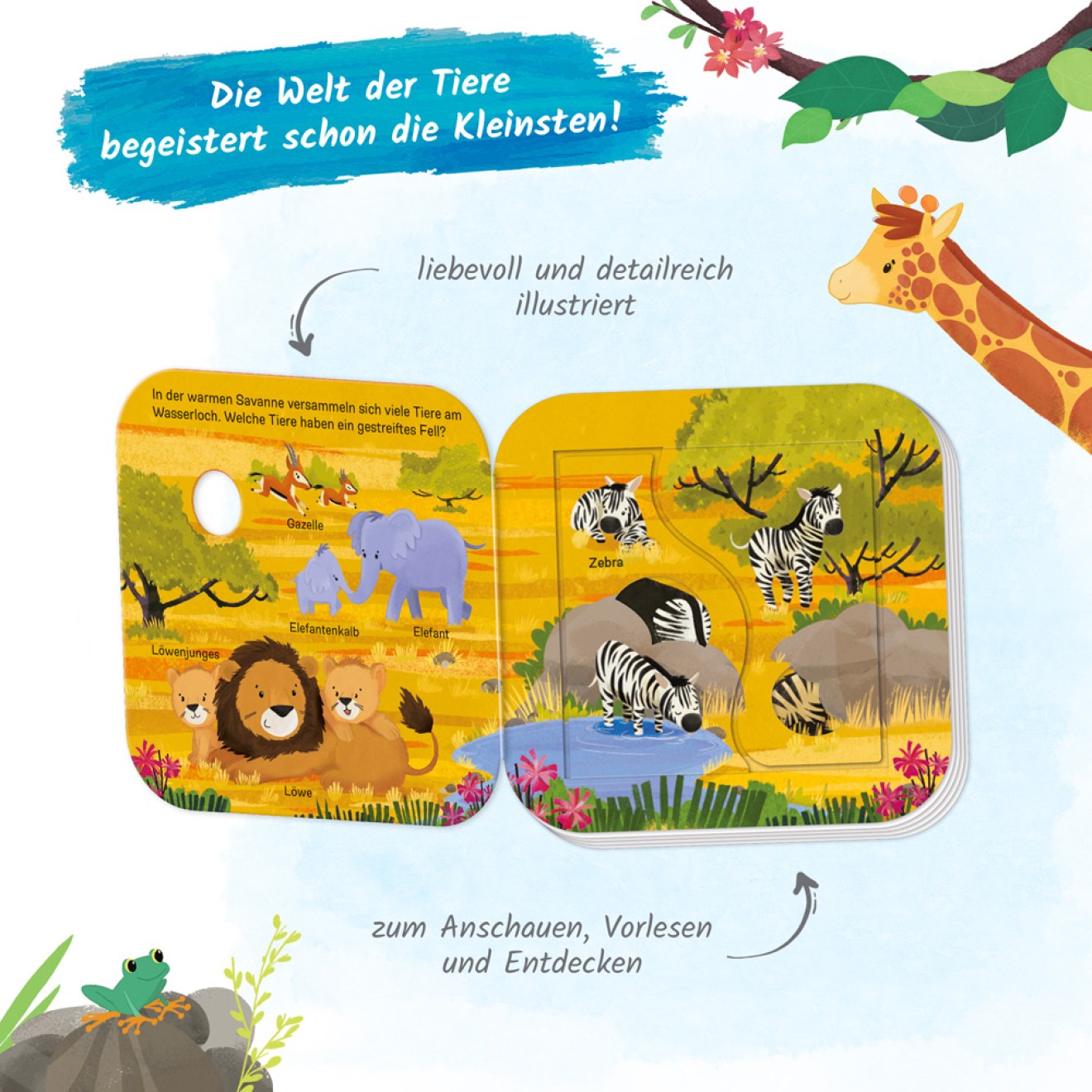 Klappenbuch - Welt der Tiere Wer lebt wo? – Bild 6