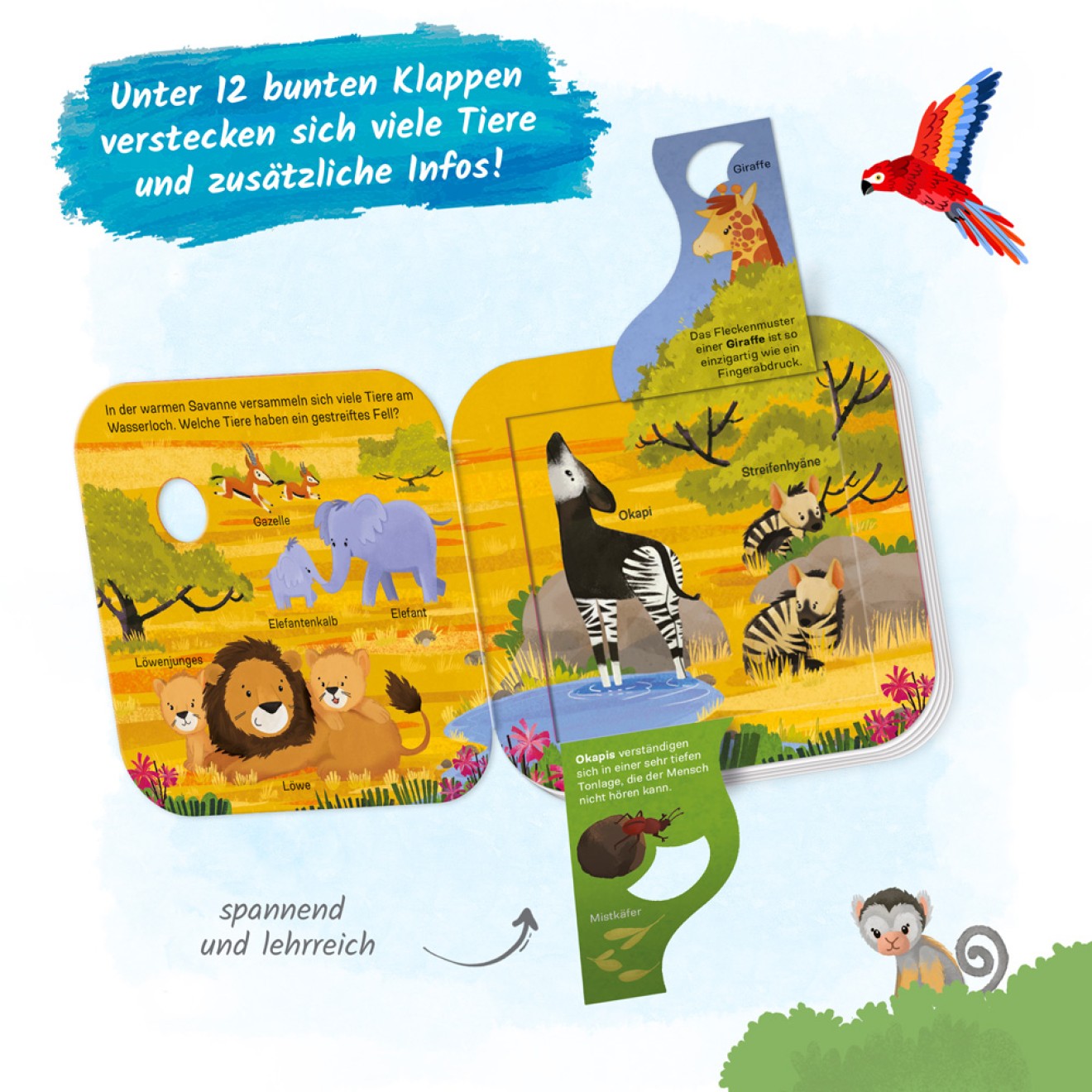 Klappenbuch - Welt der Tiere Wer lebt wo? – Bild 7