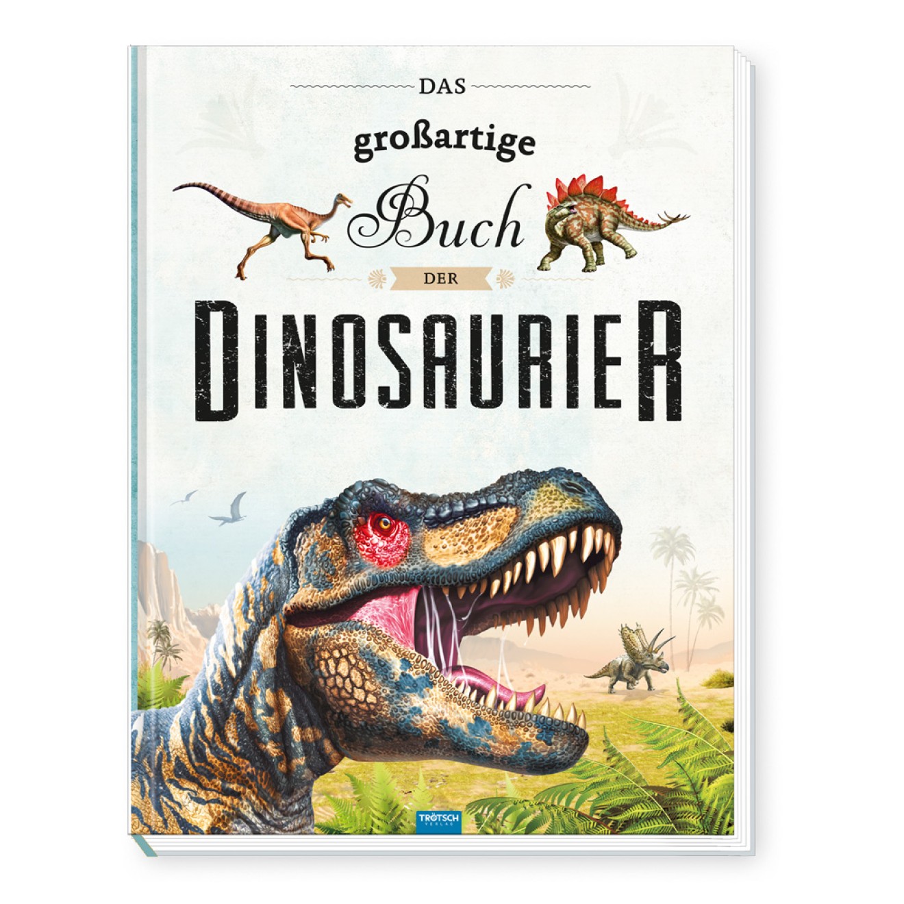 Großes Buch