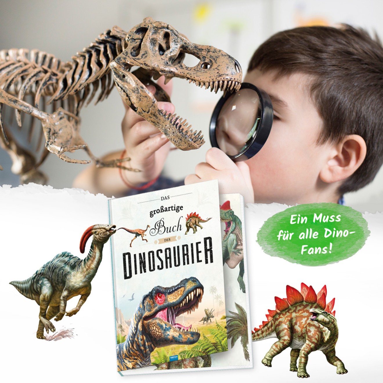 Das großartige Buch der Dinosaurier – Bild 3