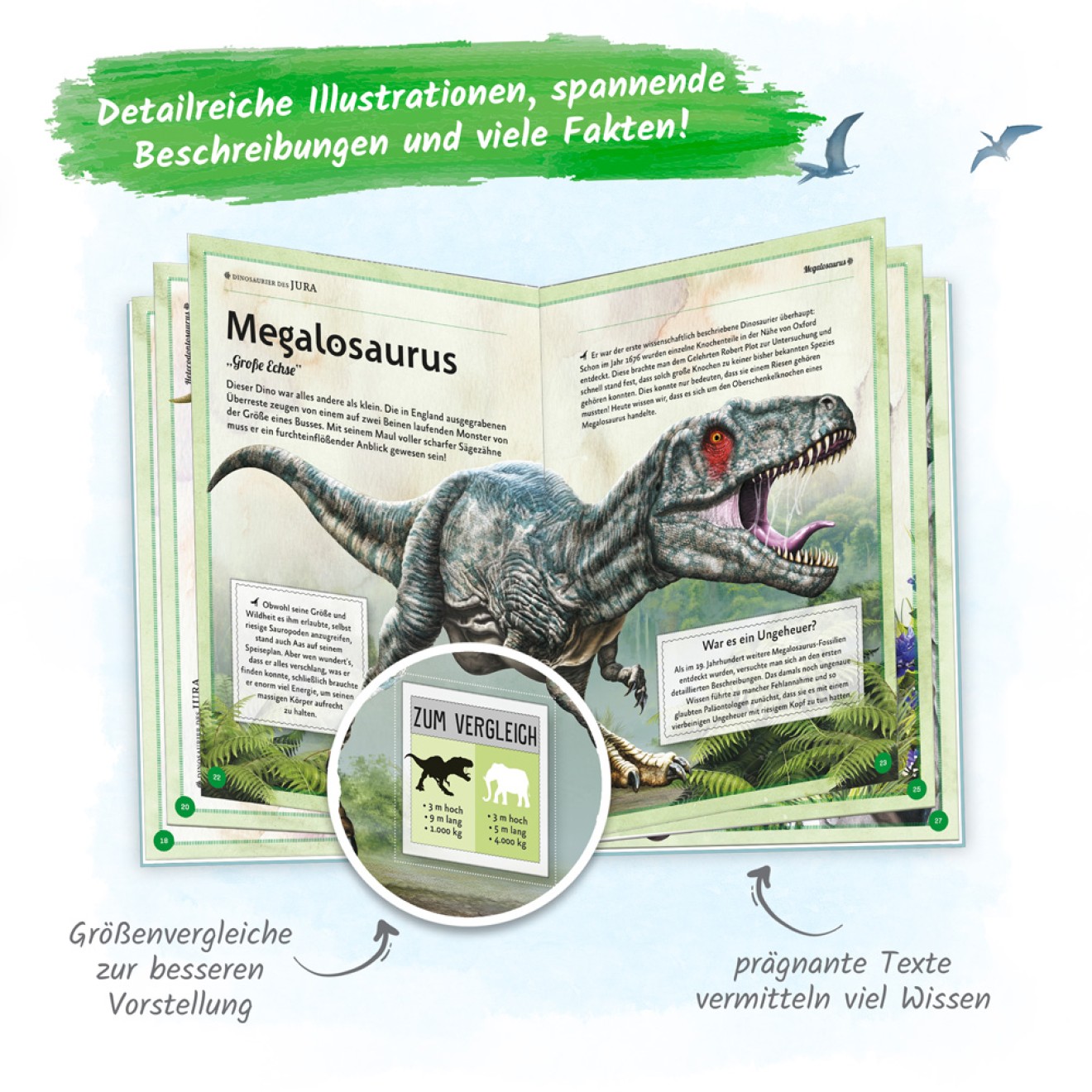 Das großartige Buch der Dinosaurier – Bild 4