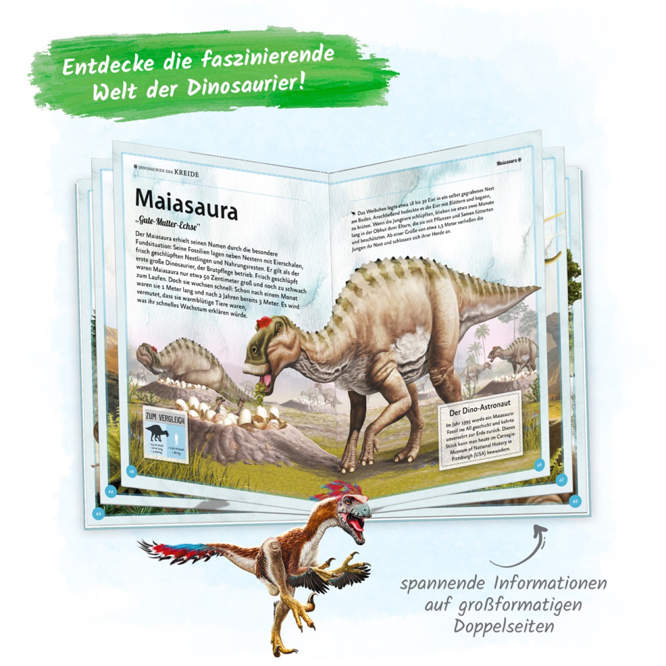 Das großartige Buch der Dinosaurier – Bild 5